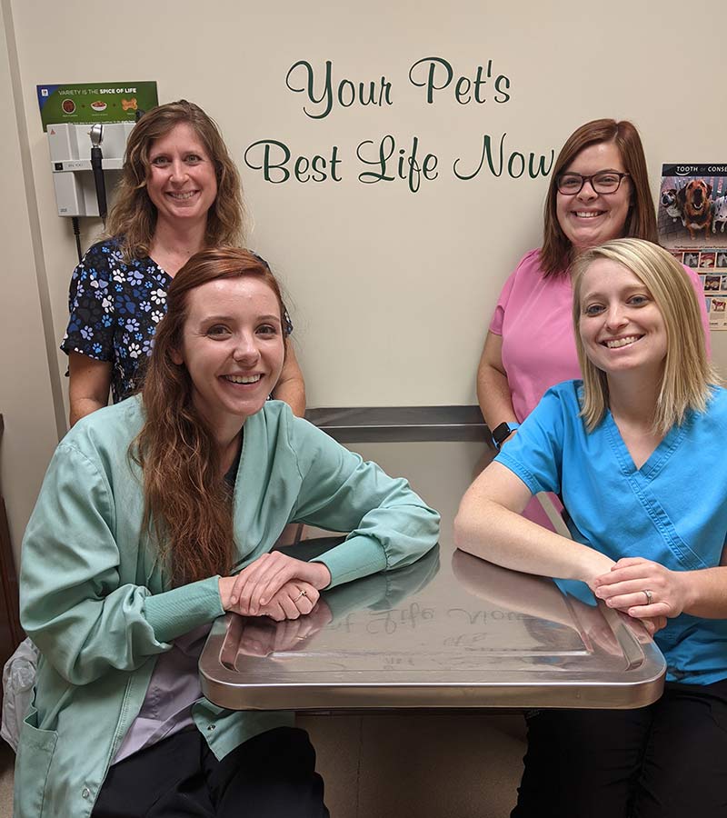 Dillsboro Veterinary Careers